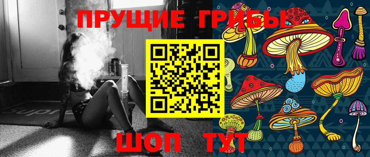 Новый Уренгой  Псилоцибиновые грибы мицелий  Вход с VPN 