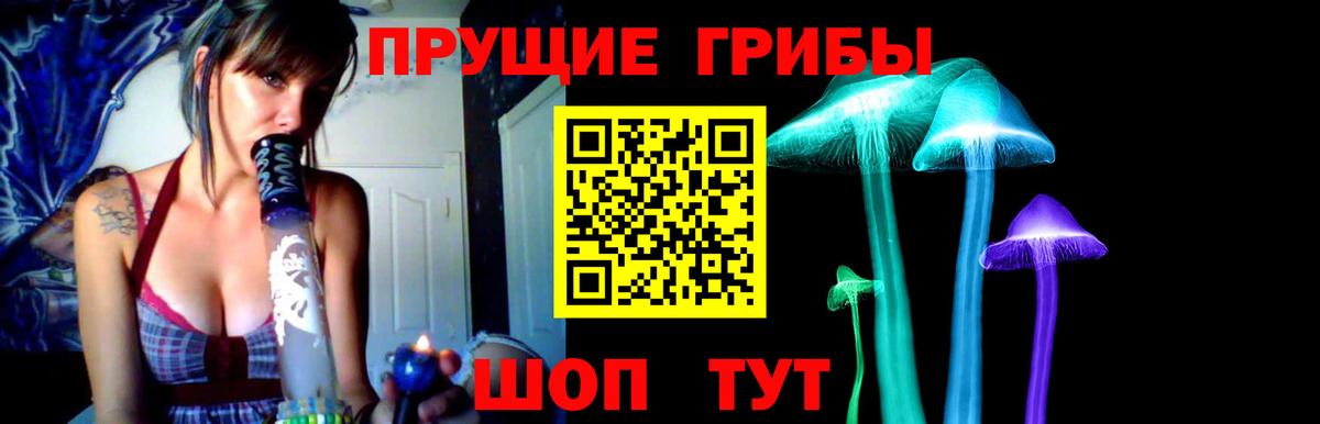 Псилоцибиновые грибы мицелий Новый Уренгой